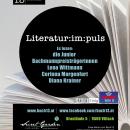 Bild BUCH13 Literatur:im:puls